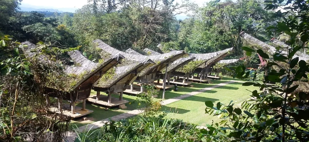 tana toraja, sulawesi selatan sebagai tempat healing untuk menikmati tradisi lokal